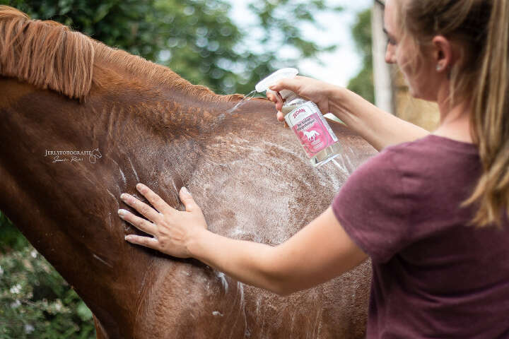 ZEDAN Bio-Ginkgo Shampoo 500ml